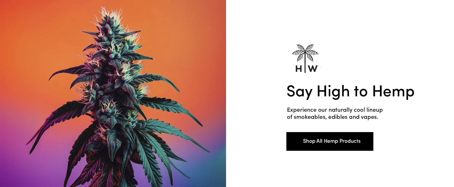 Hollyweed Hemp - #1 Premium Hemp Brand in the US