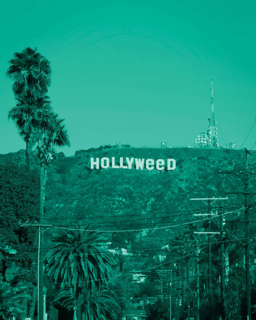 stoner movies brought to you by hollyweed