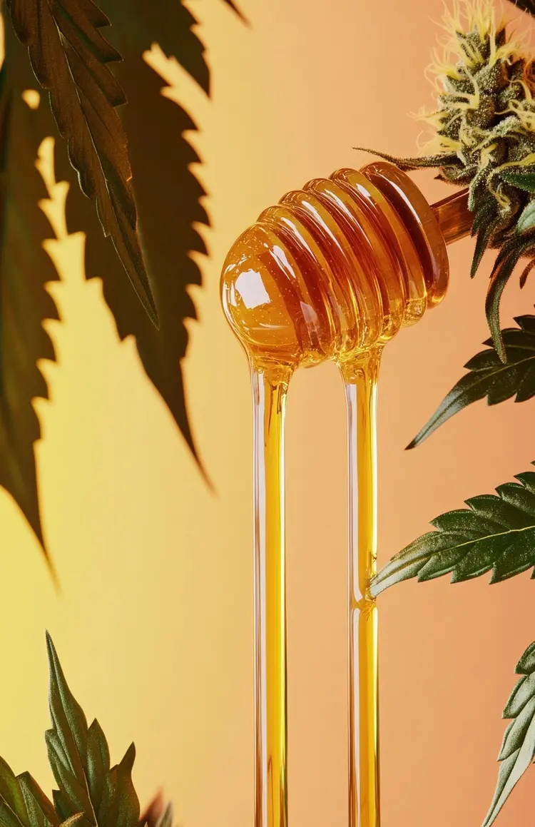 What Are CBD Honey Sticks