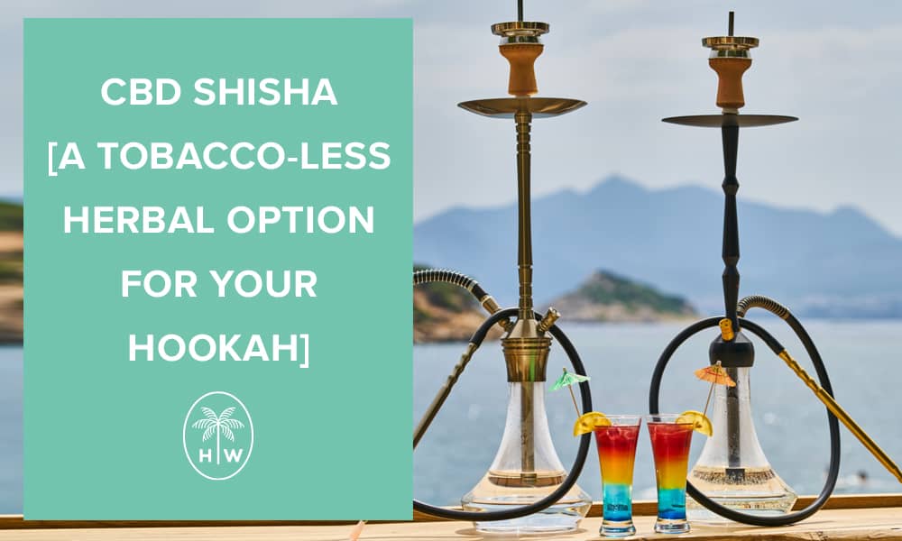 cbd shisha