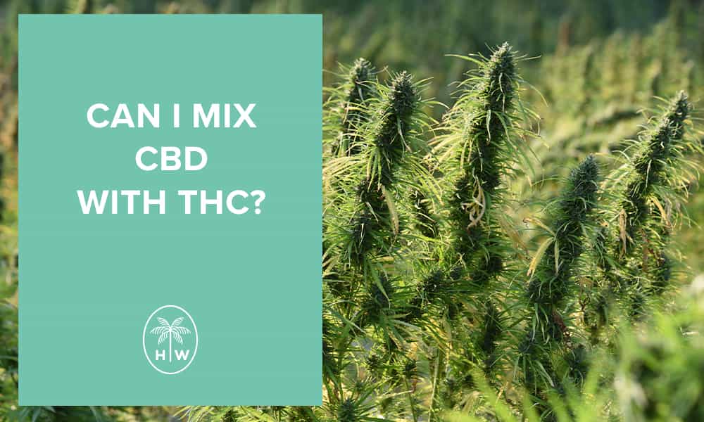 cbd with thc