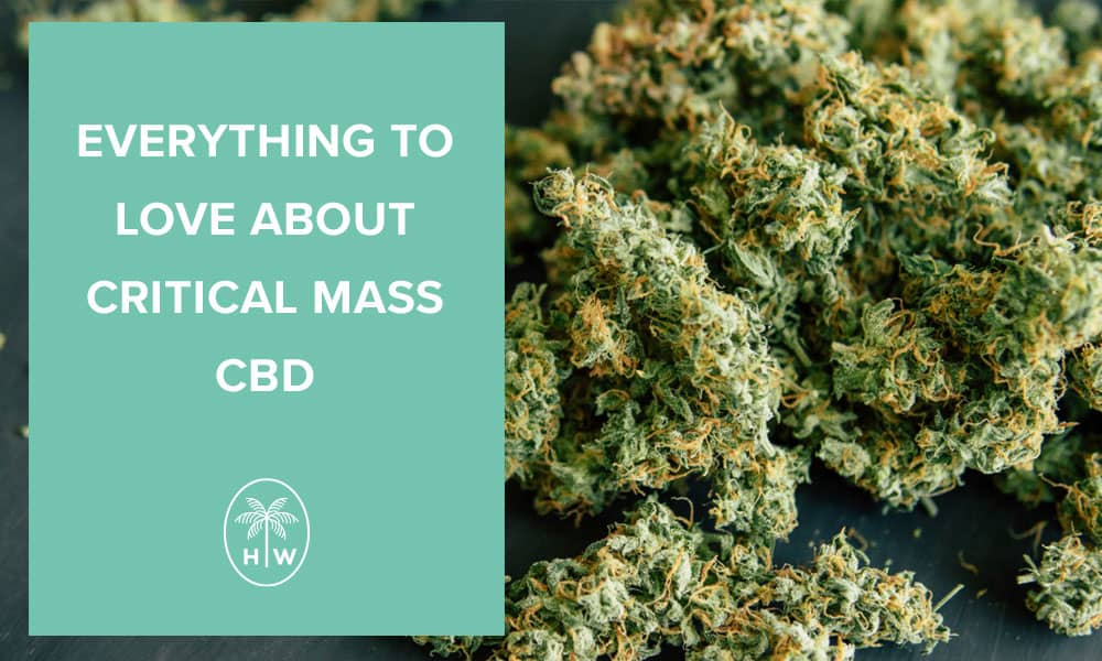 critical mass cbd 1