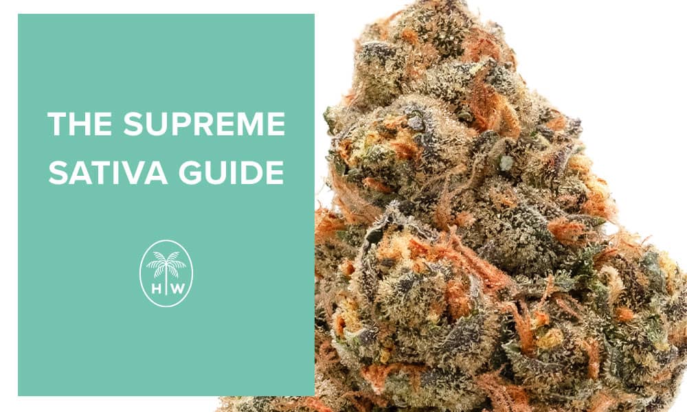 Sativa CBD Flower