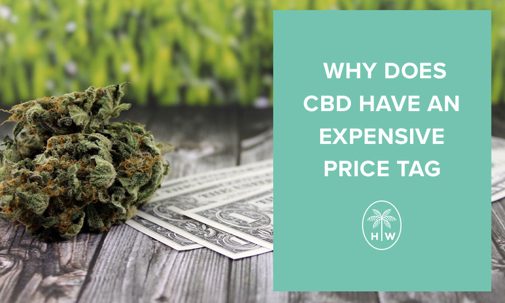 Why is CBD So Expensive?