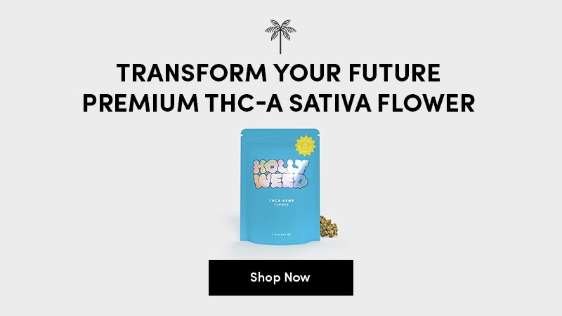 shop-future-haze-sativa